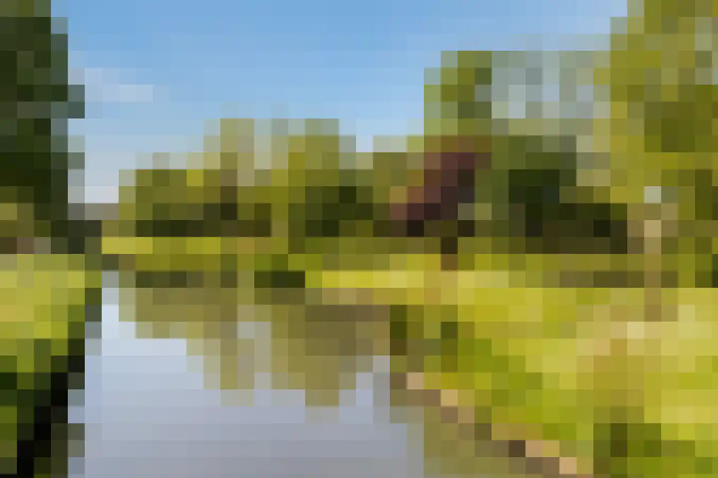 Eendendaal 20 Nieuwerkerk aan den IJssel thumbnail 42