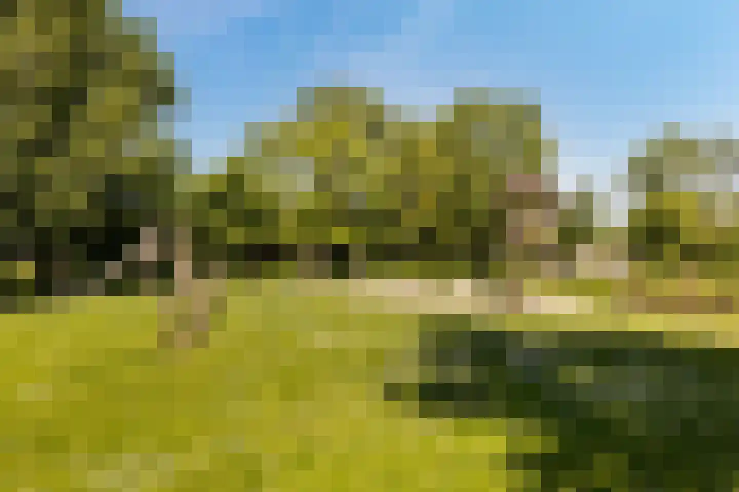 Eendendaal 20 Nieuwerkerk aan den IJssel thumbnail 43
