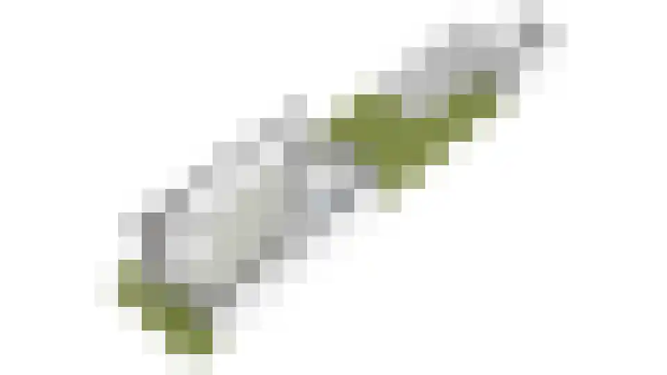 Eendendaal 20 Nieuwerkerk aan den IJssel thumbnail 46