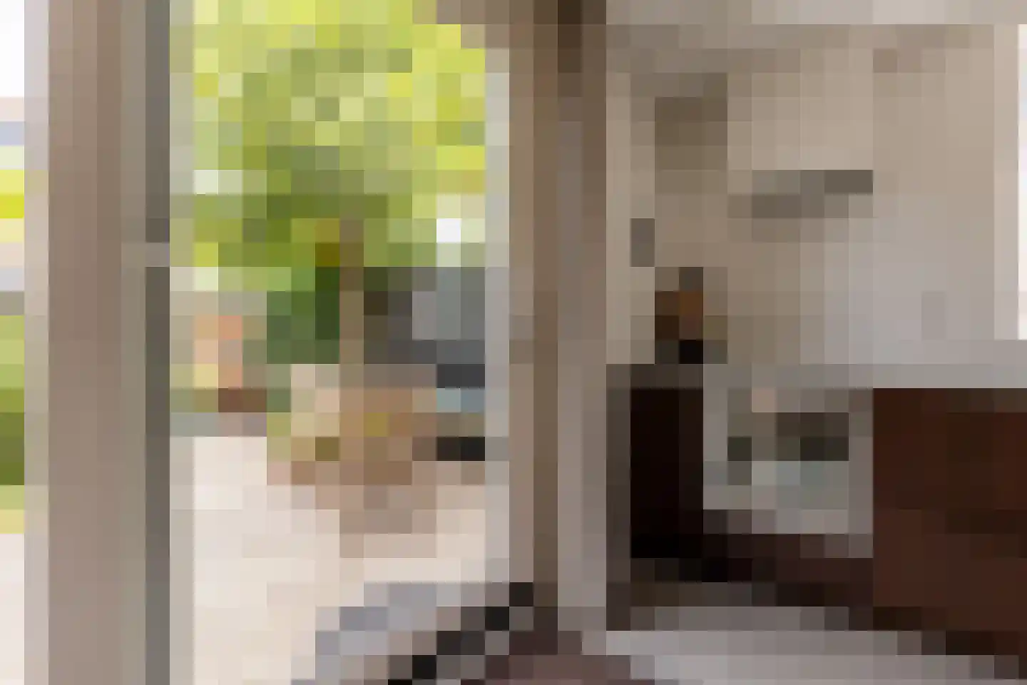 Eendendaal 238 Nieuwerkerk aan den IJssel thumbnail 18