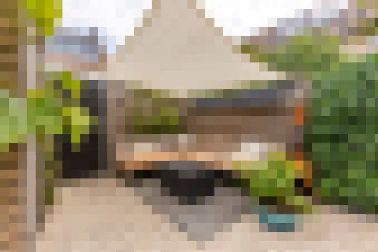 Eendendaal 238 Nieuwerkerk aan den IJssel thumbnail 21