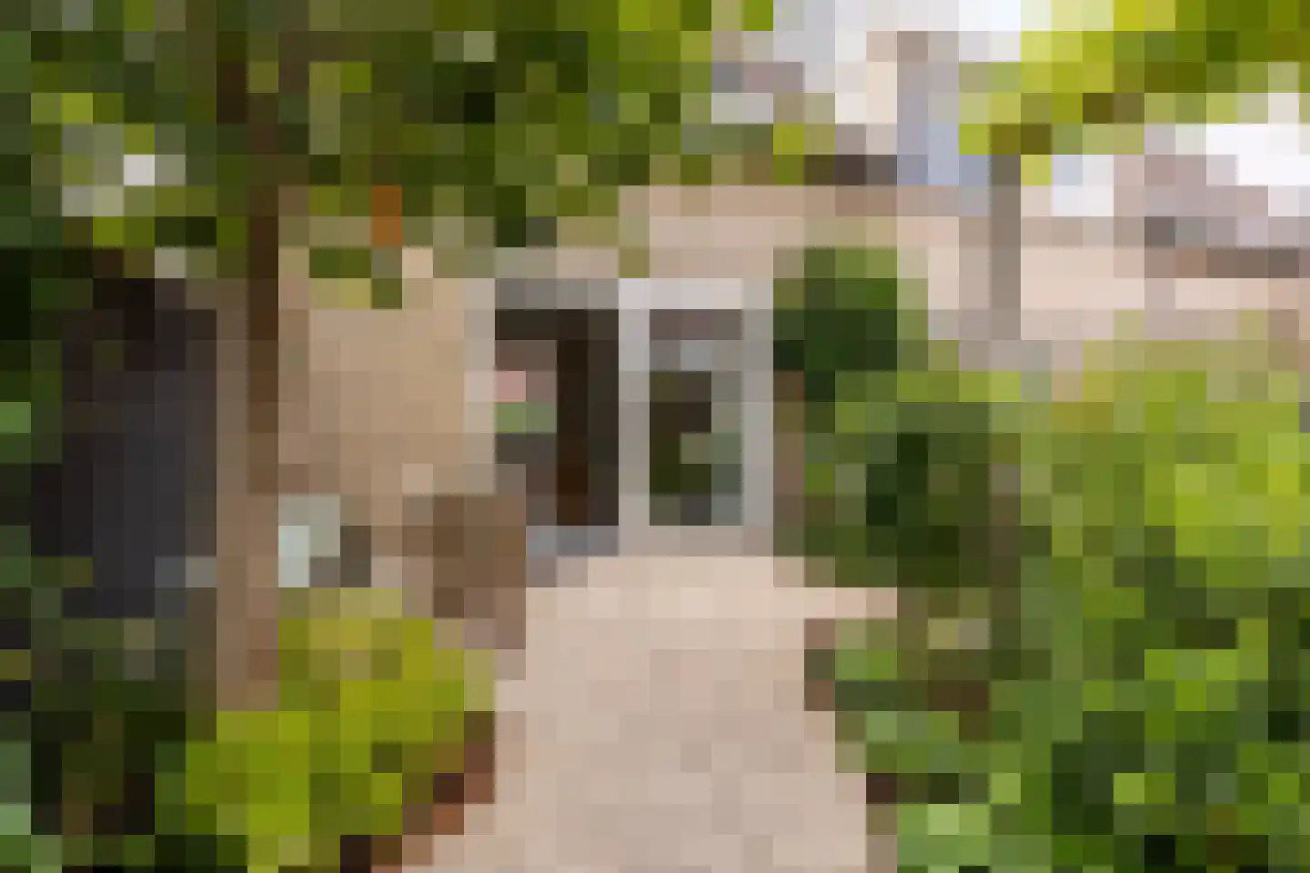 Eendendaal 238 Nieuwerkerk aan den IJssel thumbnail 23