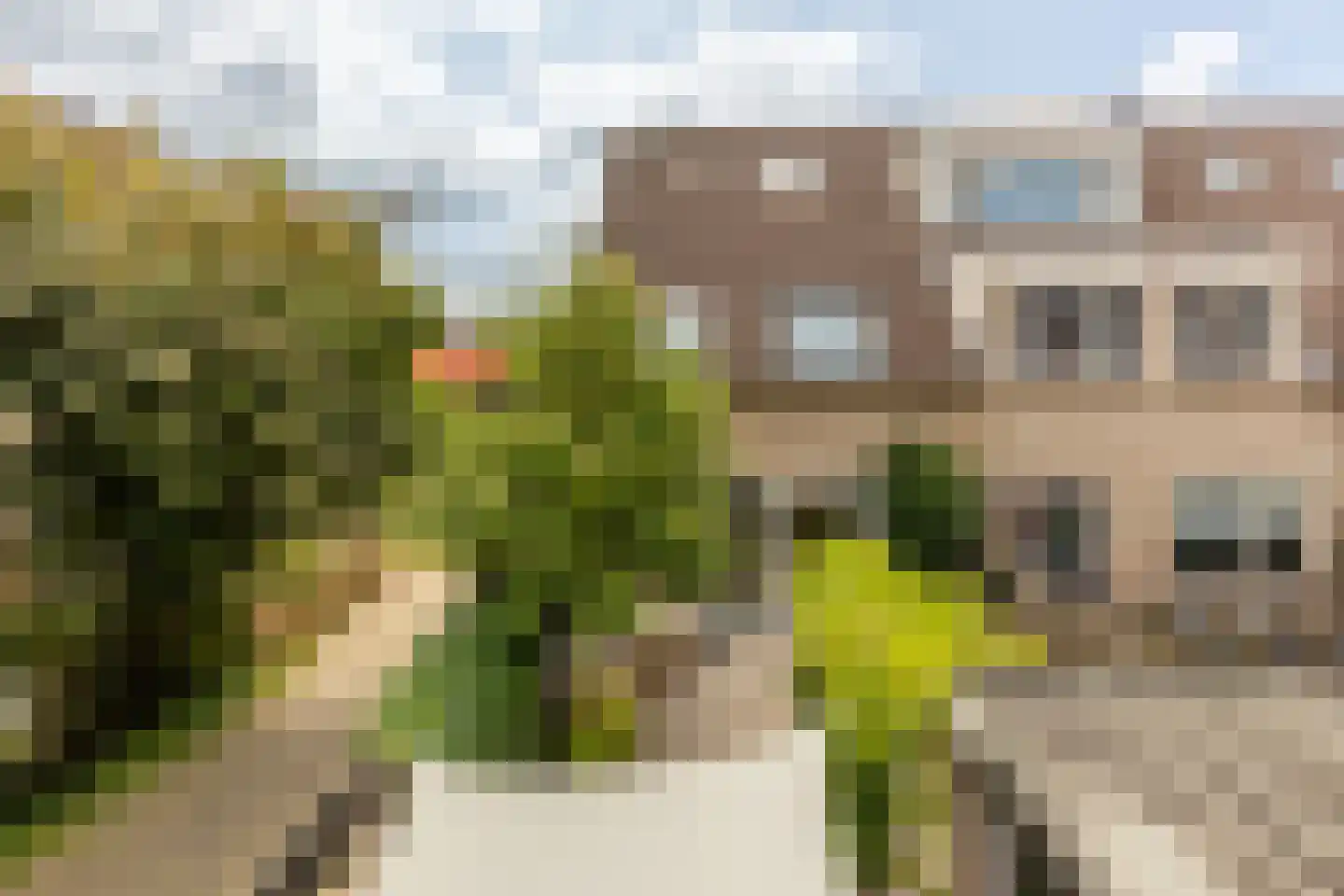 Eendendaal 238 Nieuwerkerk aan den IJssel thumbnail 48