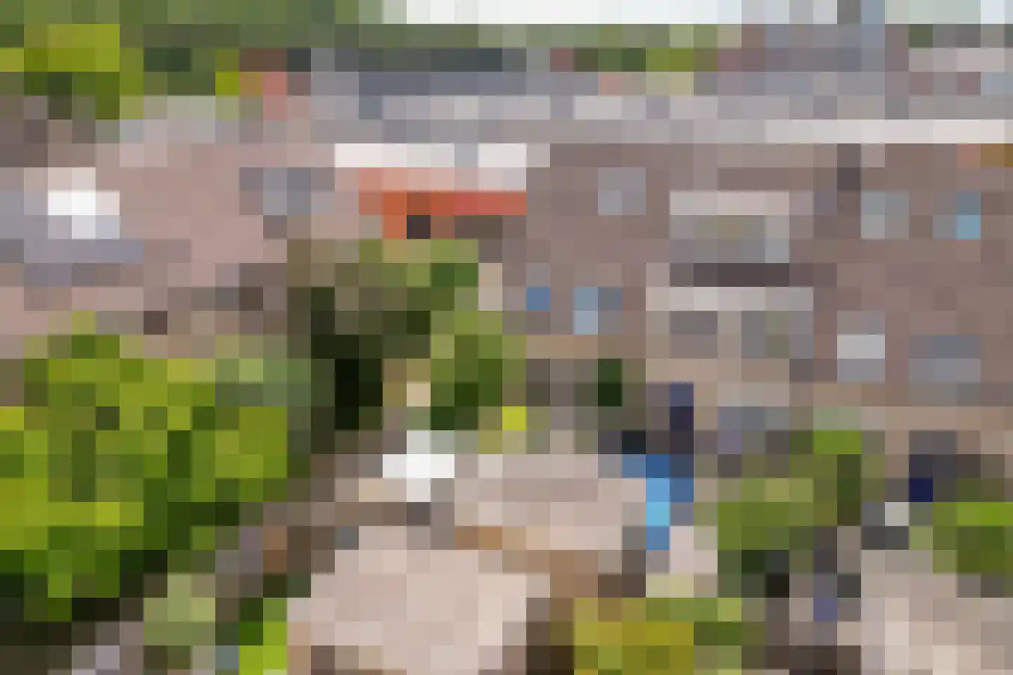 Eendendaal 238 Nieuwerkerk aan den IJssel thumbnail 50