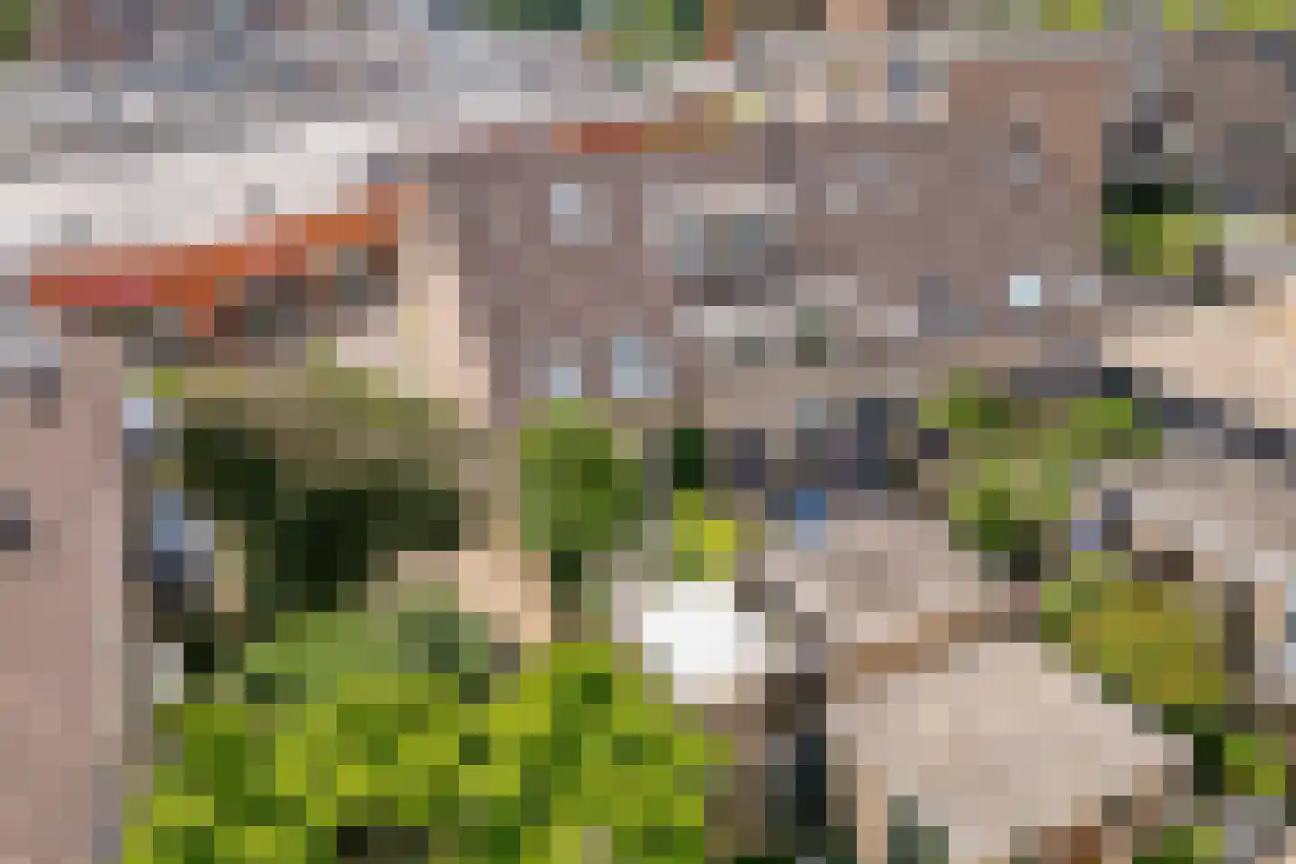 Eendendaal 238 Nieuwerkerk aan den IJssel thumbnail 51