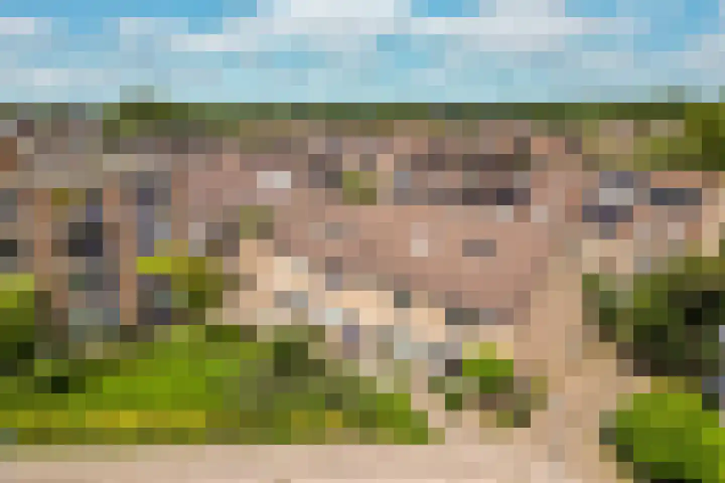 Eendendaal 238 Nieuwerkerk aan den IJssel thumbnail 52