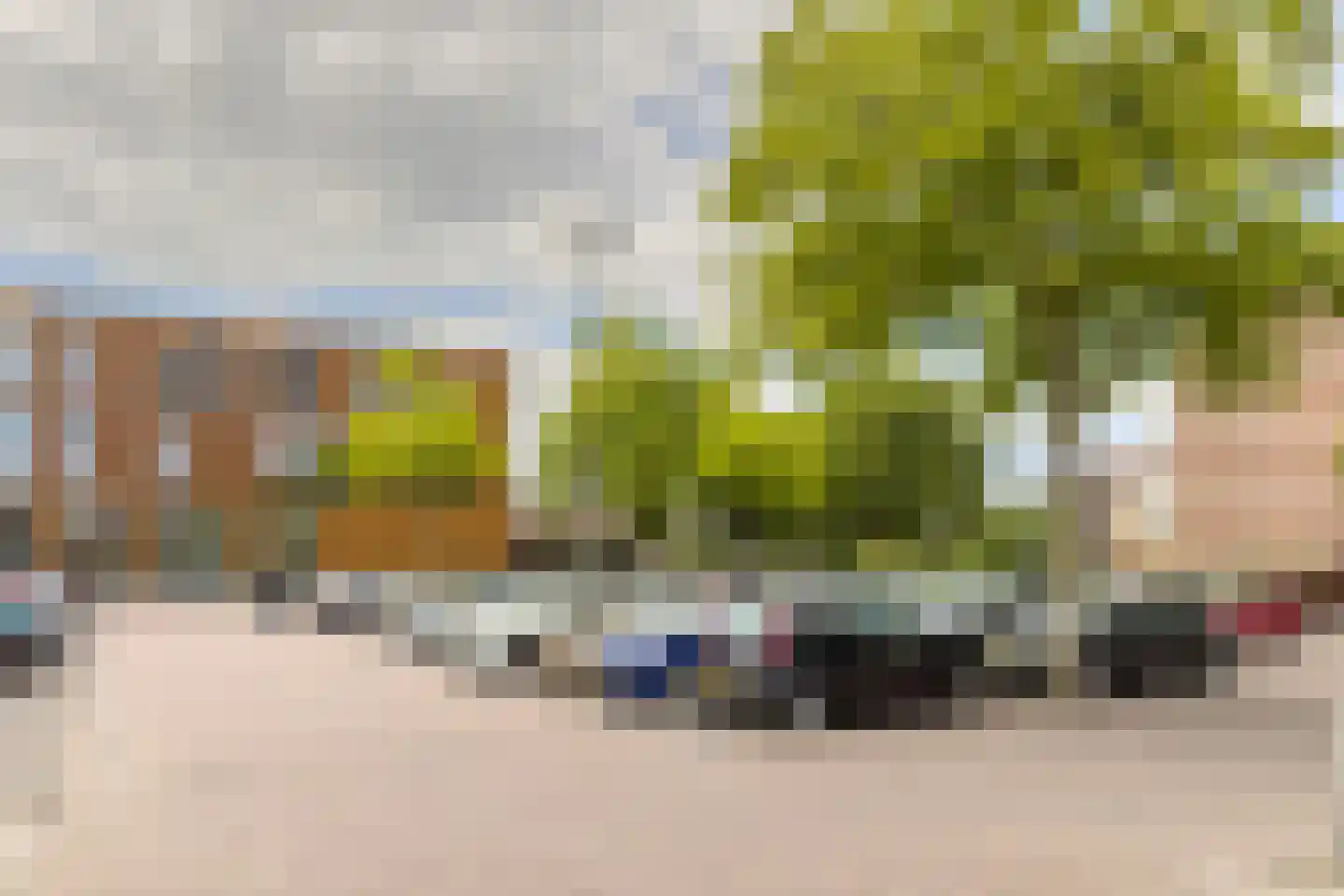 Eendendaal 238 Nieuwerkerk aan den IJssel thumbnail 56
