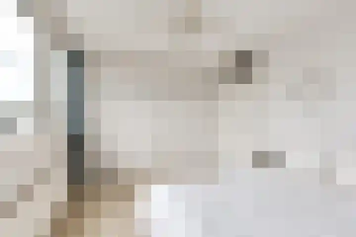 Eendendreef 14 Bleiswijk thumbnail 27