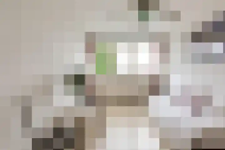 Eendendreef 14 Bleiswijk thumbnail 28