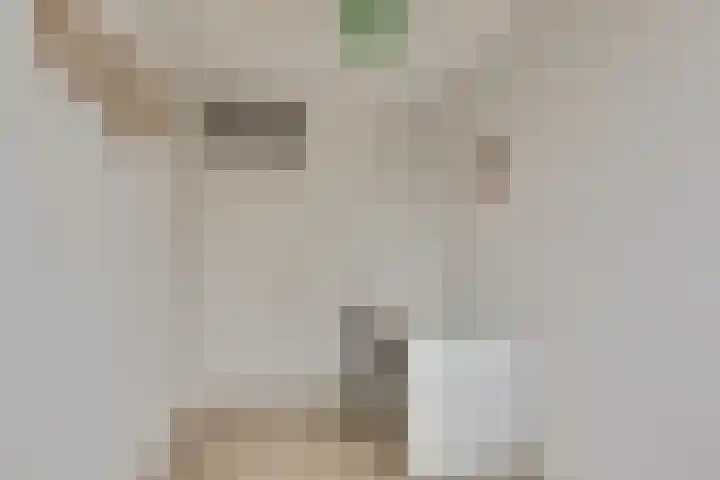 Eendendreef 14 Bleiswijk thumbnail 32