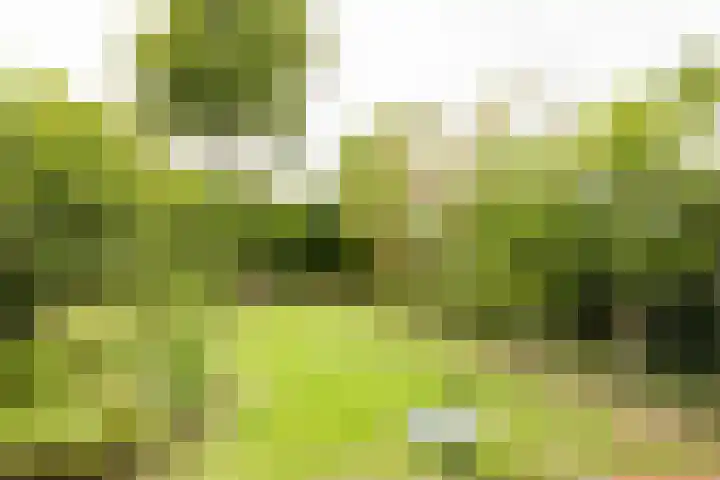 Eendendreef 14 Bleiswijk thumbnail 36