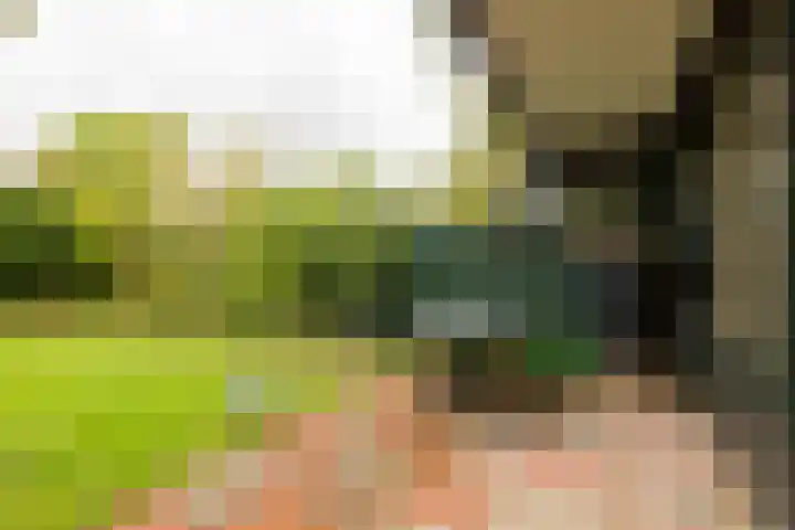 Eendendreef 14 Bleiswijk thumbnail 37