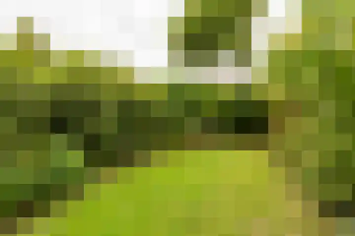Eendendreef 14 Bleiswijk thumbnail 38