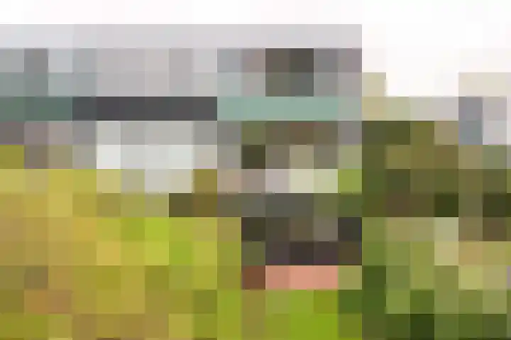 Eendendreef 14 Bleiswijk thumbnail 40