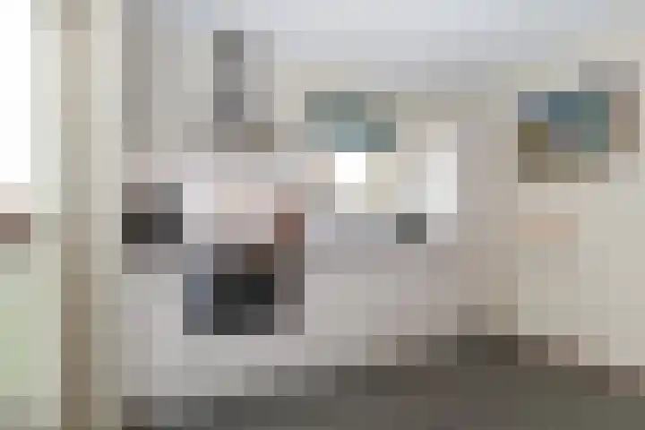 Eendendreef 14 Bleiswijk thumbnail 43