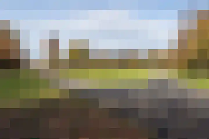 Eendendreef 14 Bleiswijk thumbnail 45