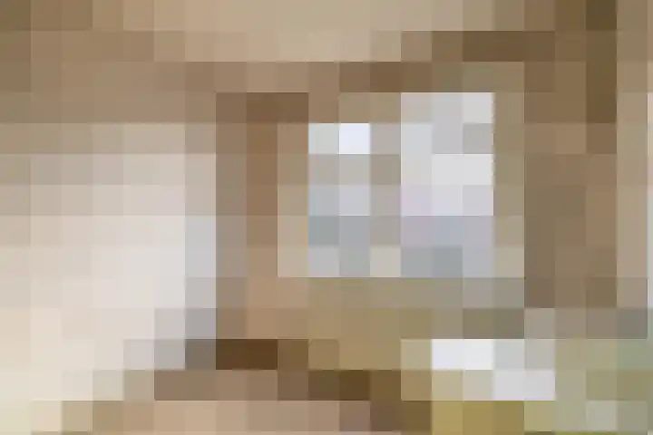Eendendreef 14 Bleiswijk thumbnail 6