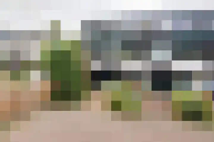 Eendendreef 14 Bleiswijk thumbnail 6