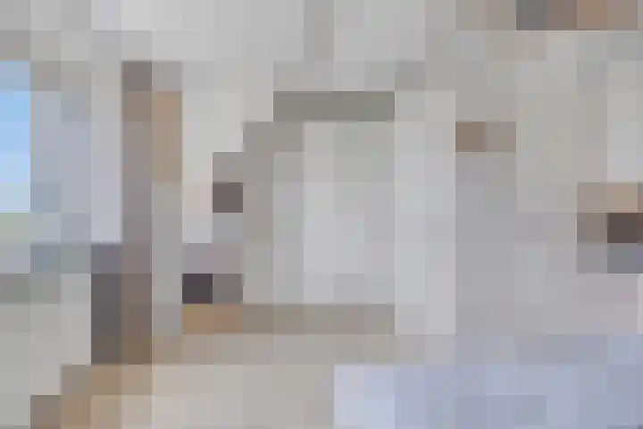 Eendendreef 14 Bleiswijk thumbnail 8