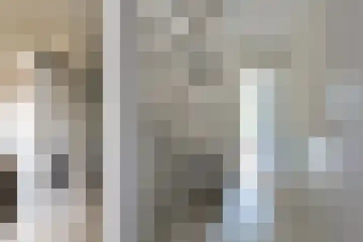 Eendendreef 14 Bleiswijk thumbnail 9