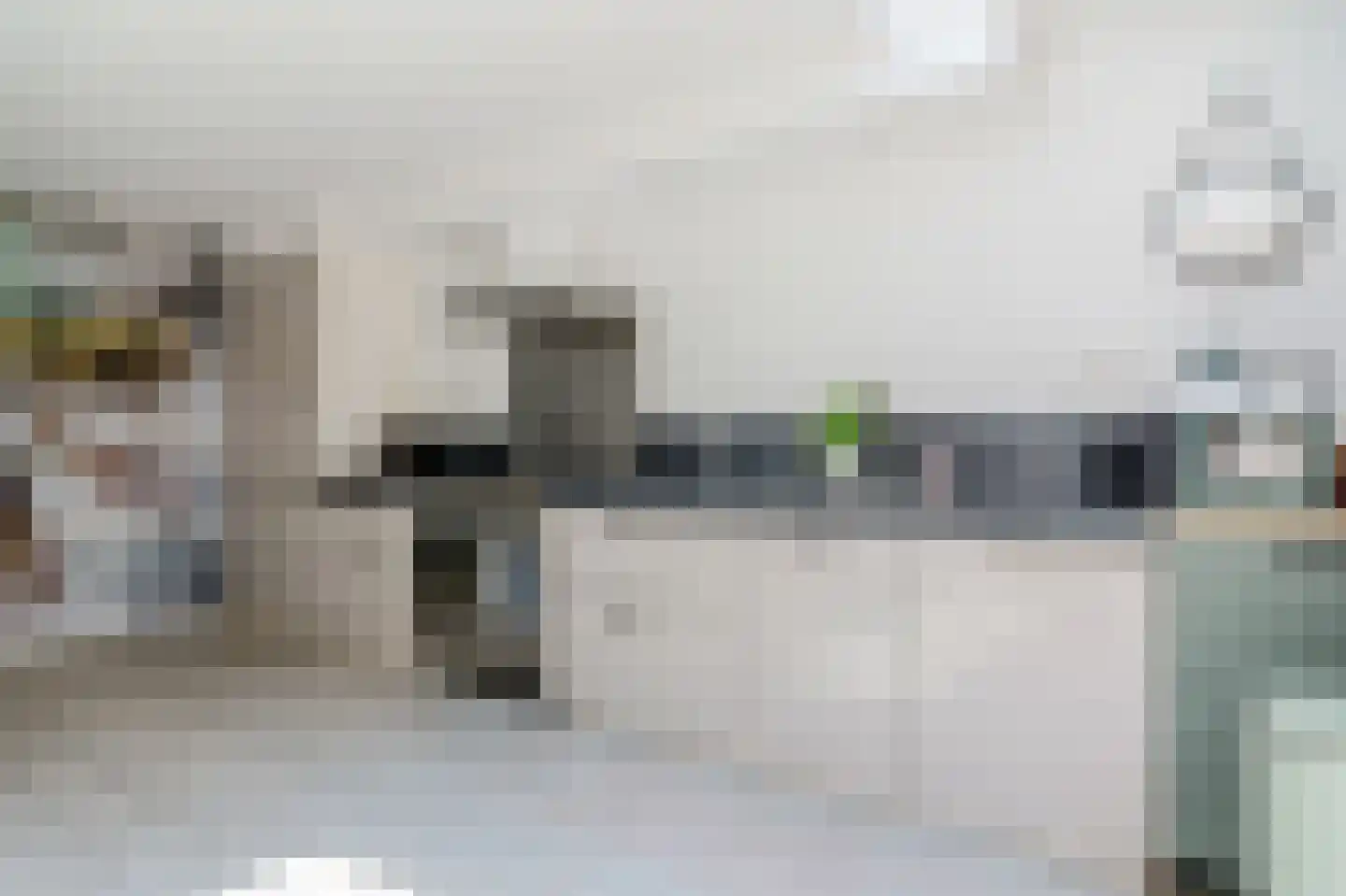 Eendendreef 50 Bleiswijk thumbnail 10