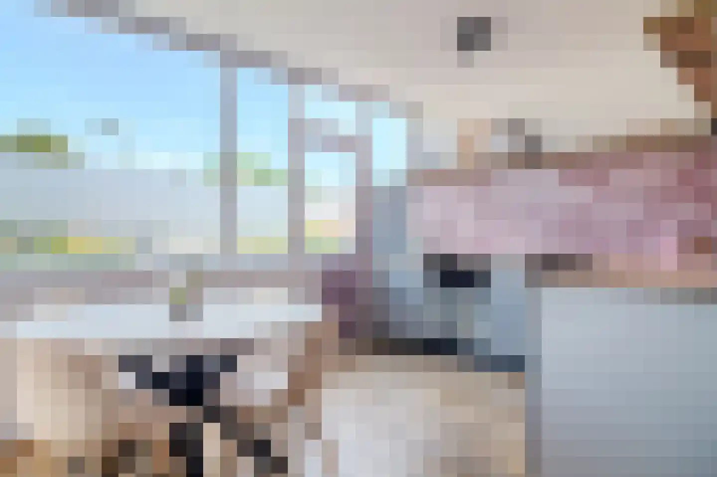 Eendendreef 50 Bleiswijk thumbnail 15