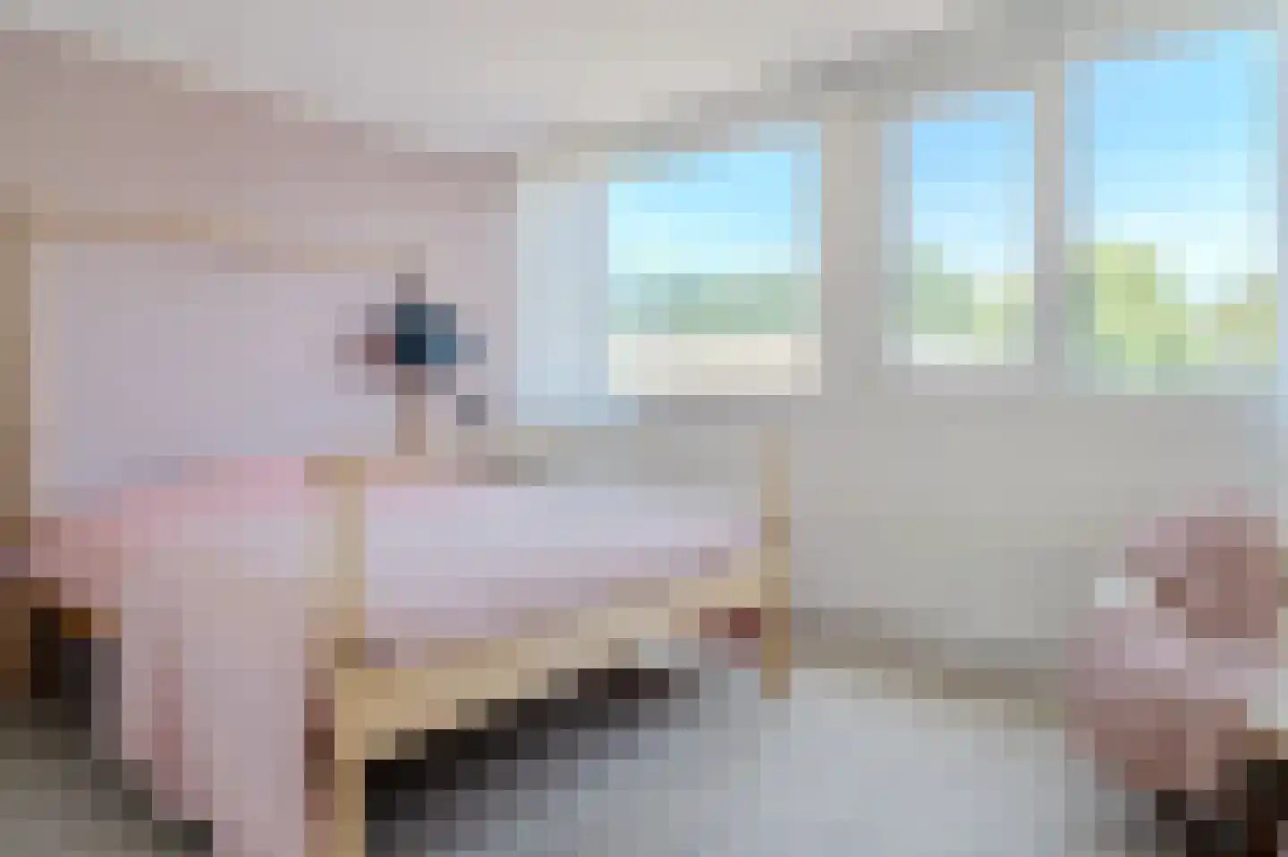 Eendendreef 50 Bleiswijk thumbnail 19