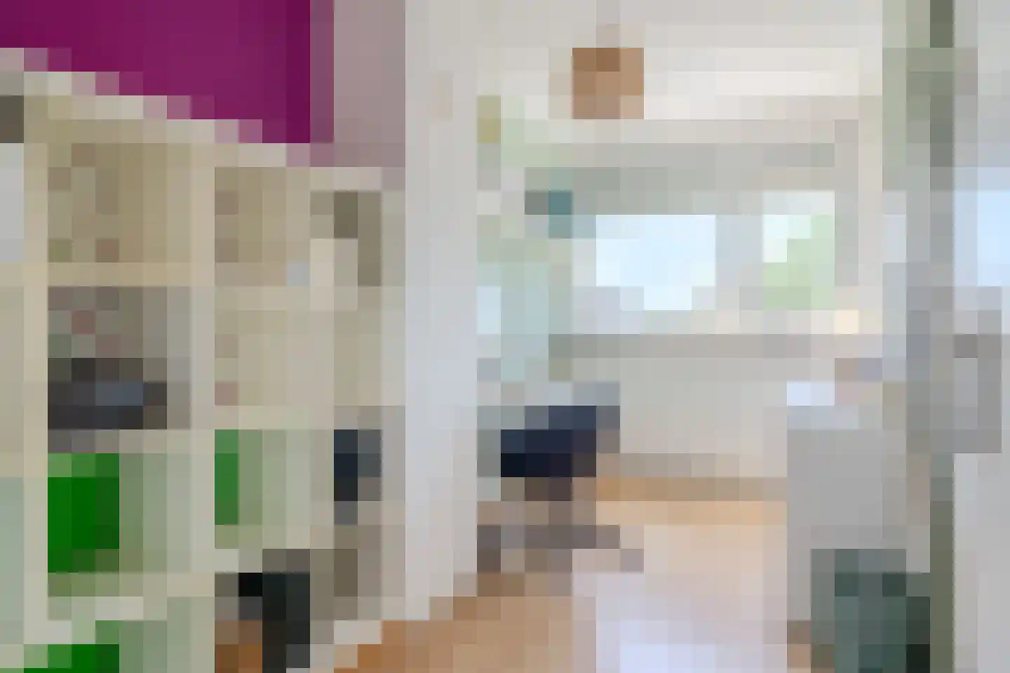 Eendendreef 50 Bleiswijk thumbnail 22