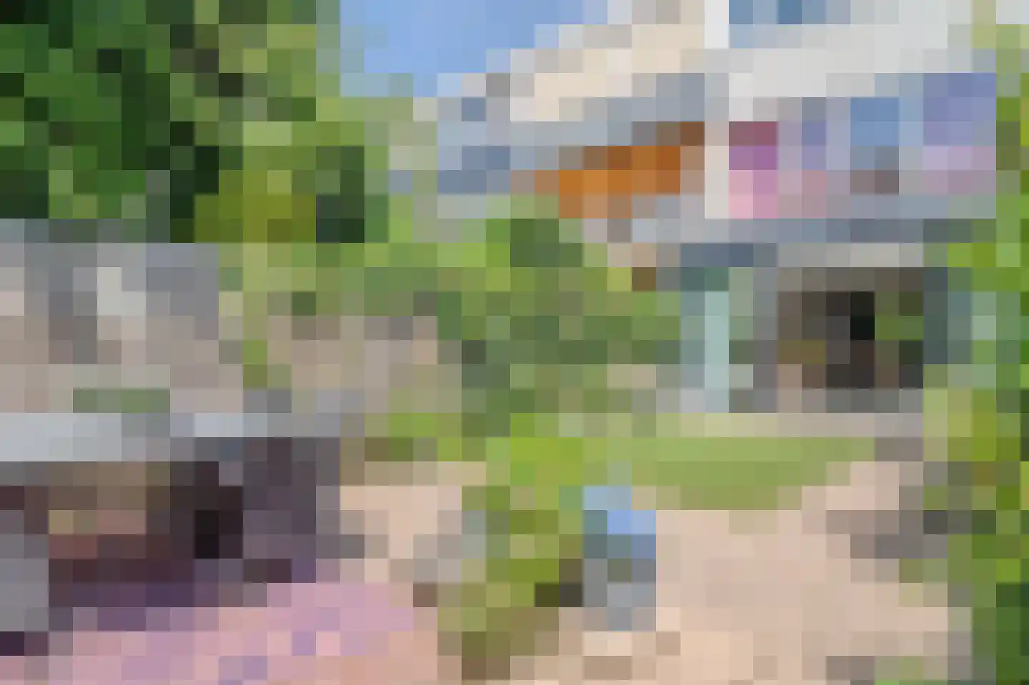 Eendendreef 50 Bleiswijk thumbnail 26