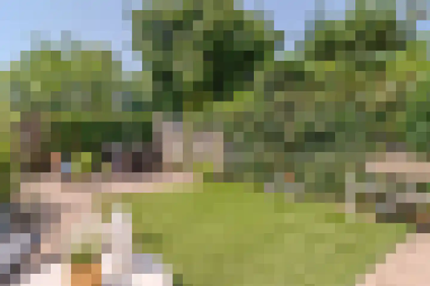 Eendendreef 50 Bleiswijk thumbnail 27