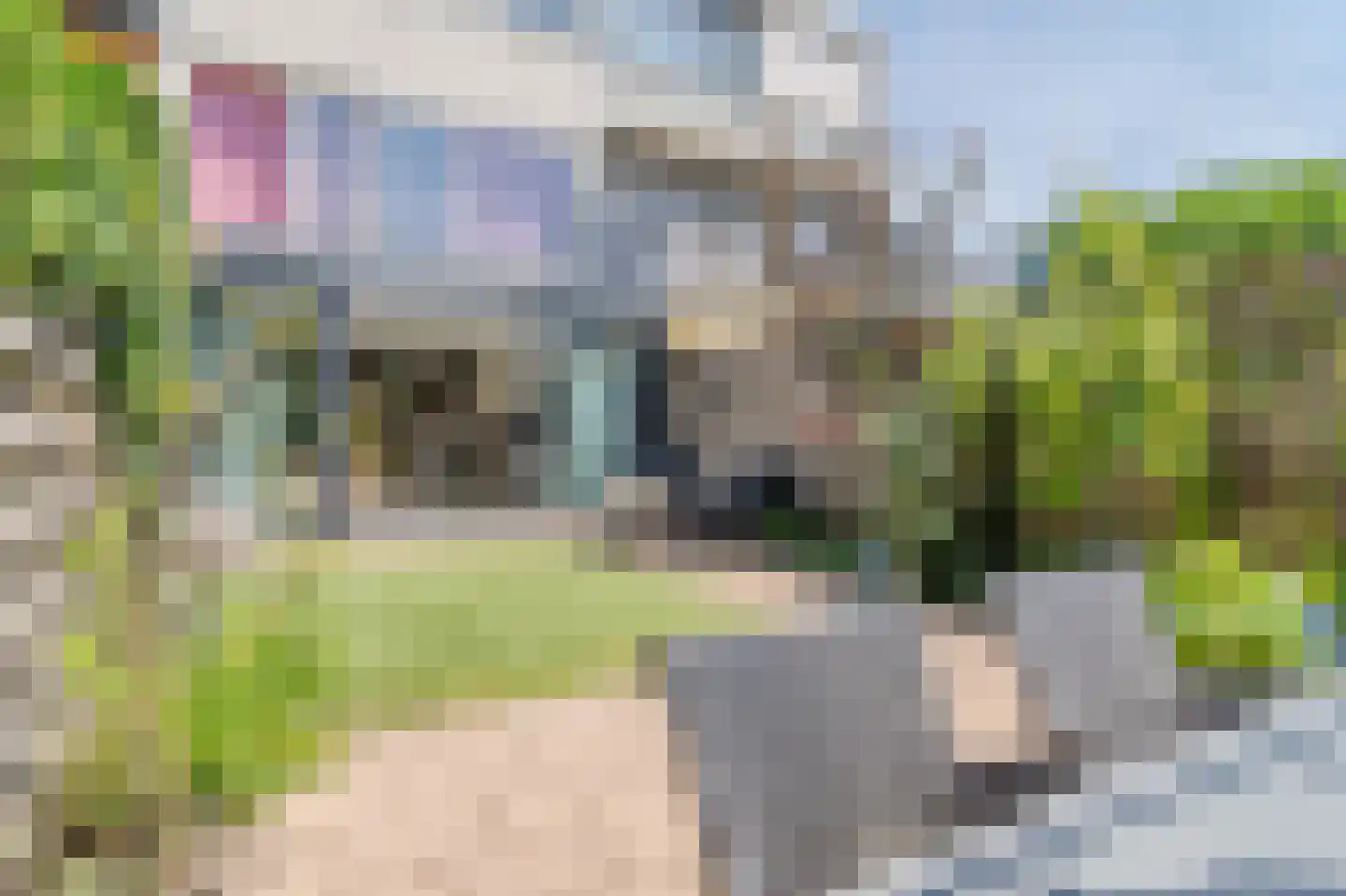Eendendreef 50 Bleiswijk thumbnail 4