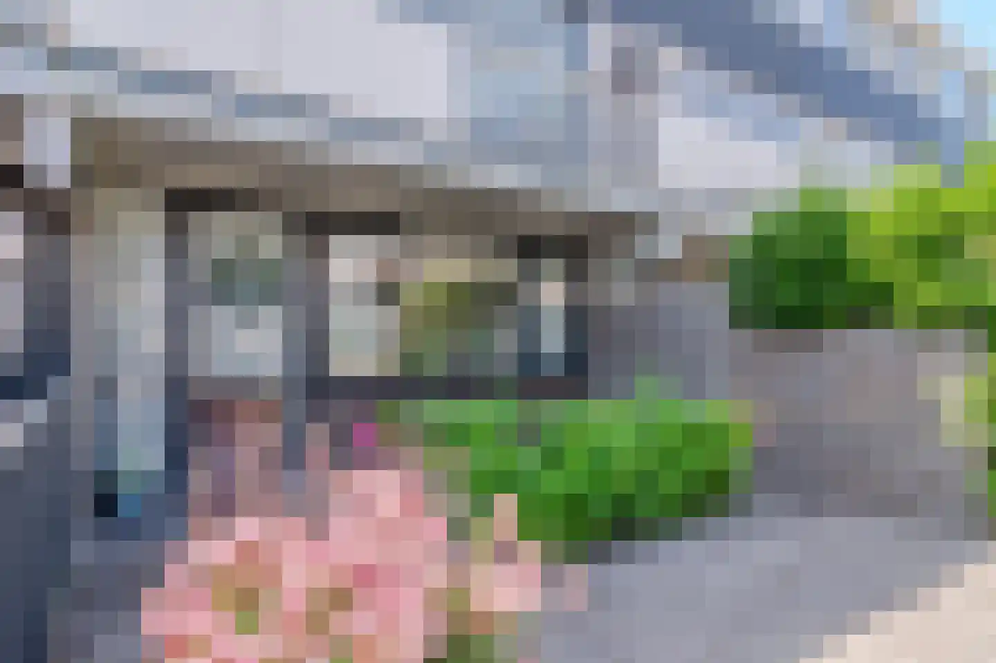 Eendendreef 50 Bleiswijk thumbnail 6