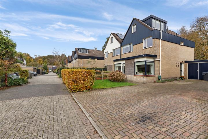 Eendenkooi 14 en Heerenveen foto