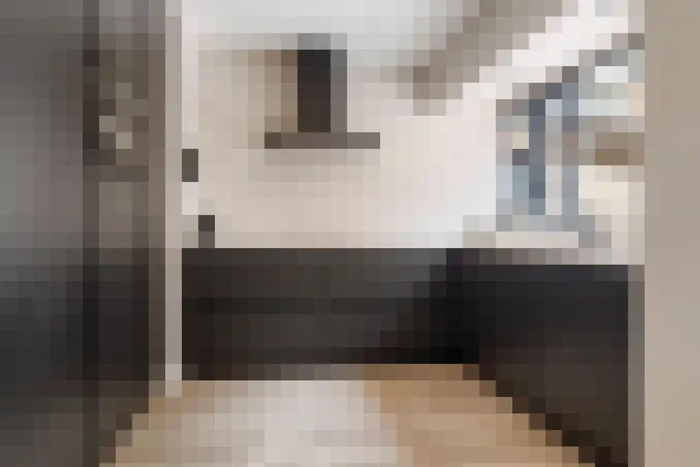 Eendenkooi 16 Heerenveen thumbnail 12
