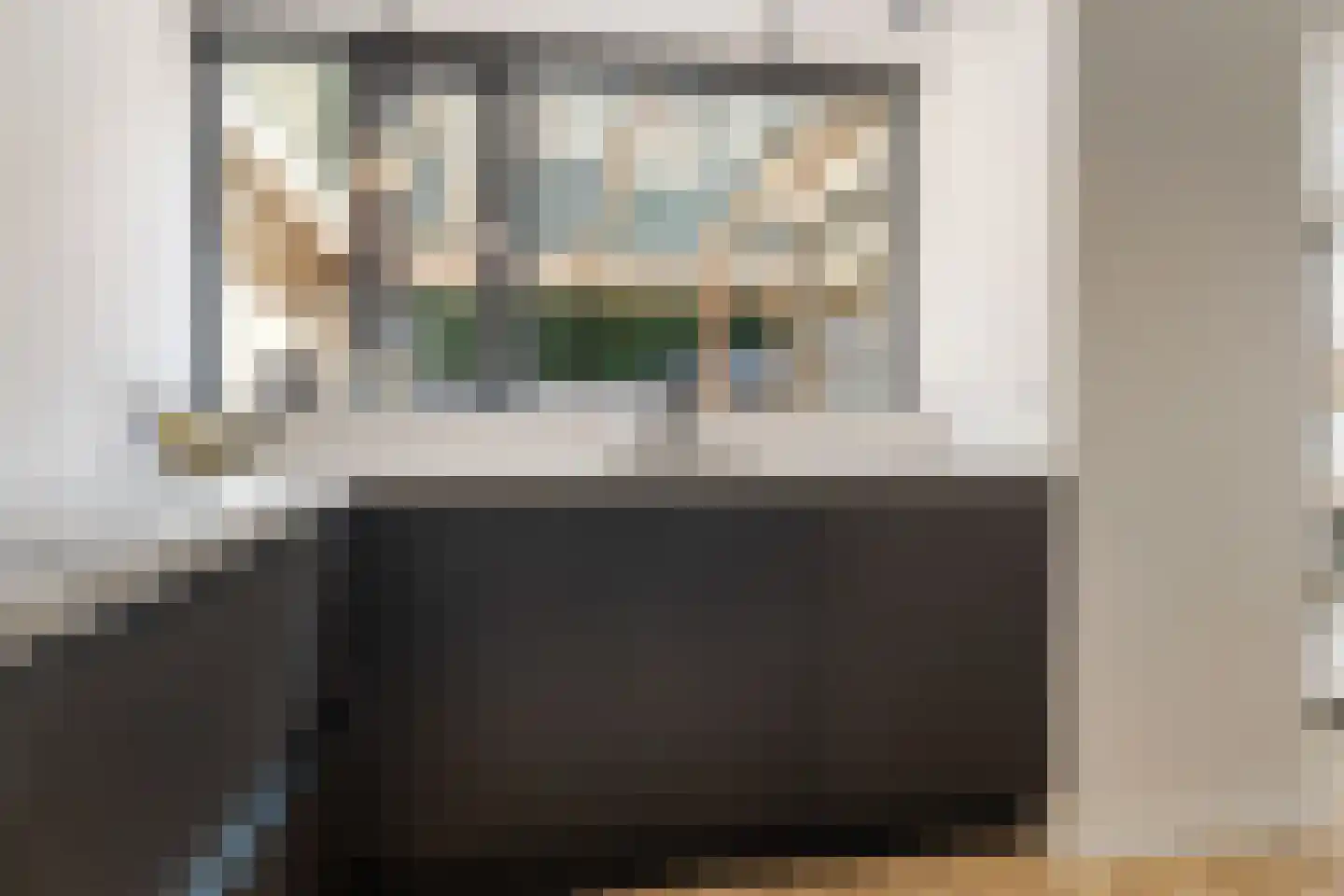 Eendenkooi 16 Heerenveen thumbnail 13
