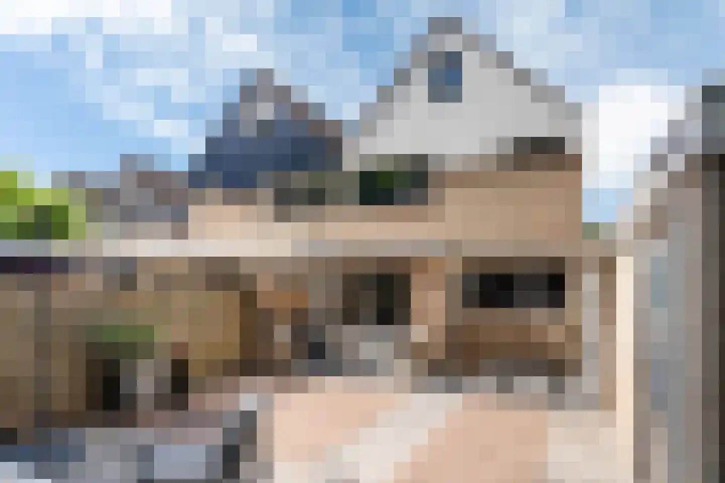 Eendenkooi 16 Heerenveen thumbnail 19