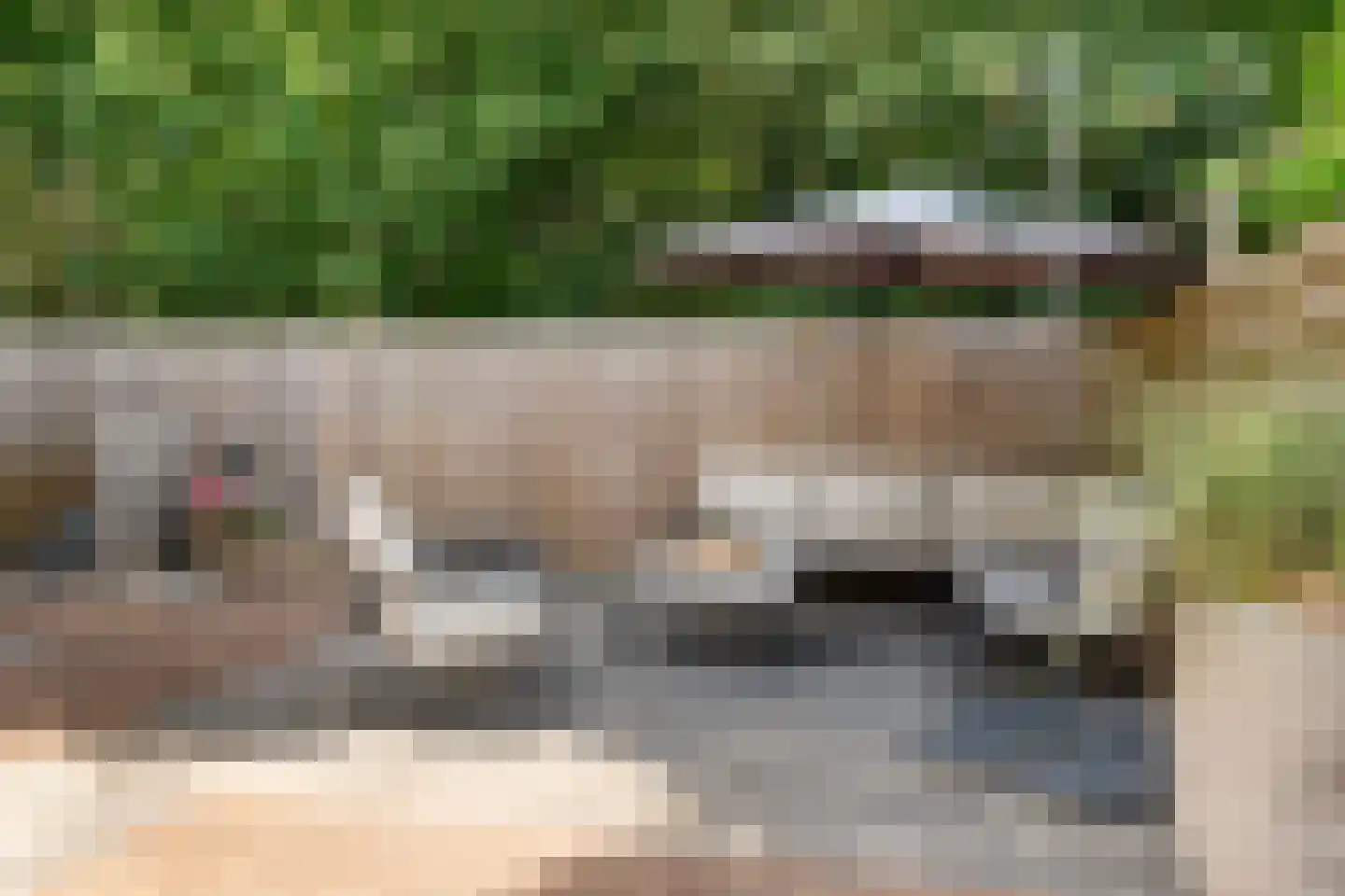 Eendenkooi 16 Heerenveen thumbnail 21