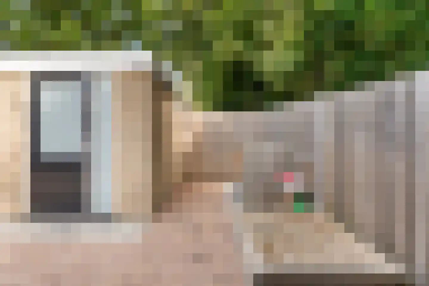 Eendenkooi 16 Heerenveen thumbnail 22