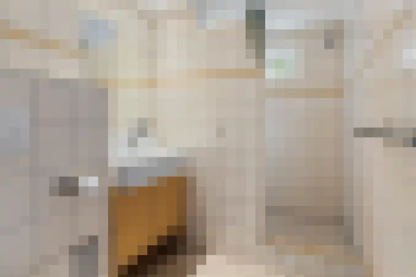 Eendenkooi 16 Heerenveen thumbnail 31