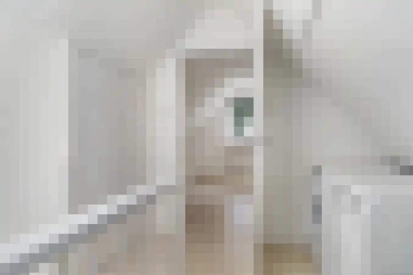 Eendenkooi 16 Heerenveen thumbnail 33