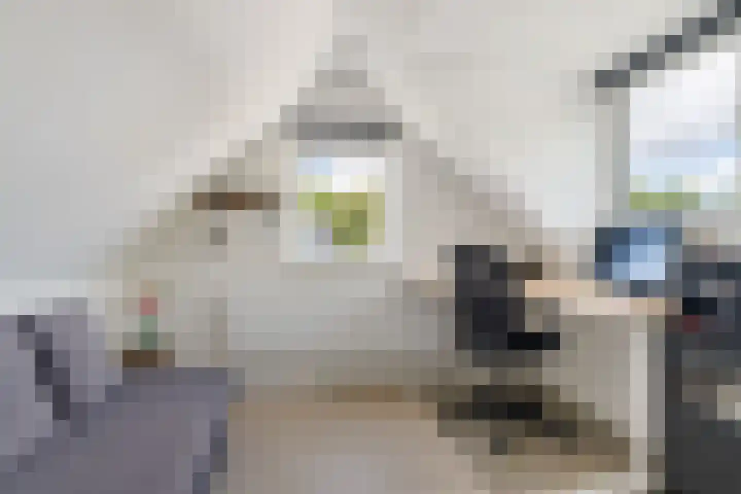 Eendenkooi 16 Heerenveen thumbnail 34