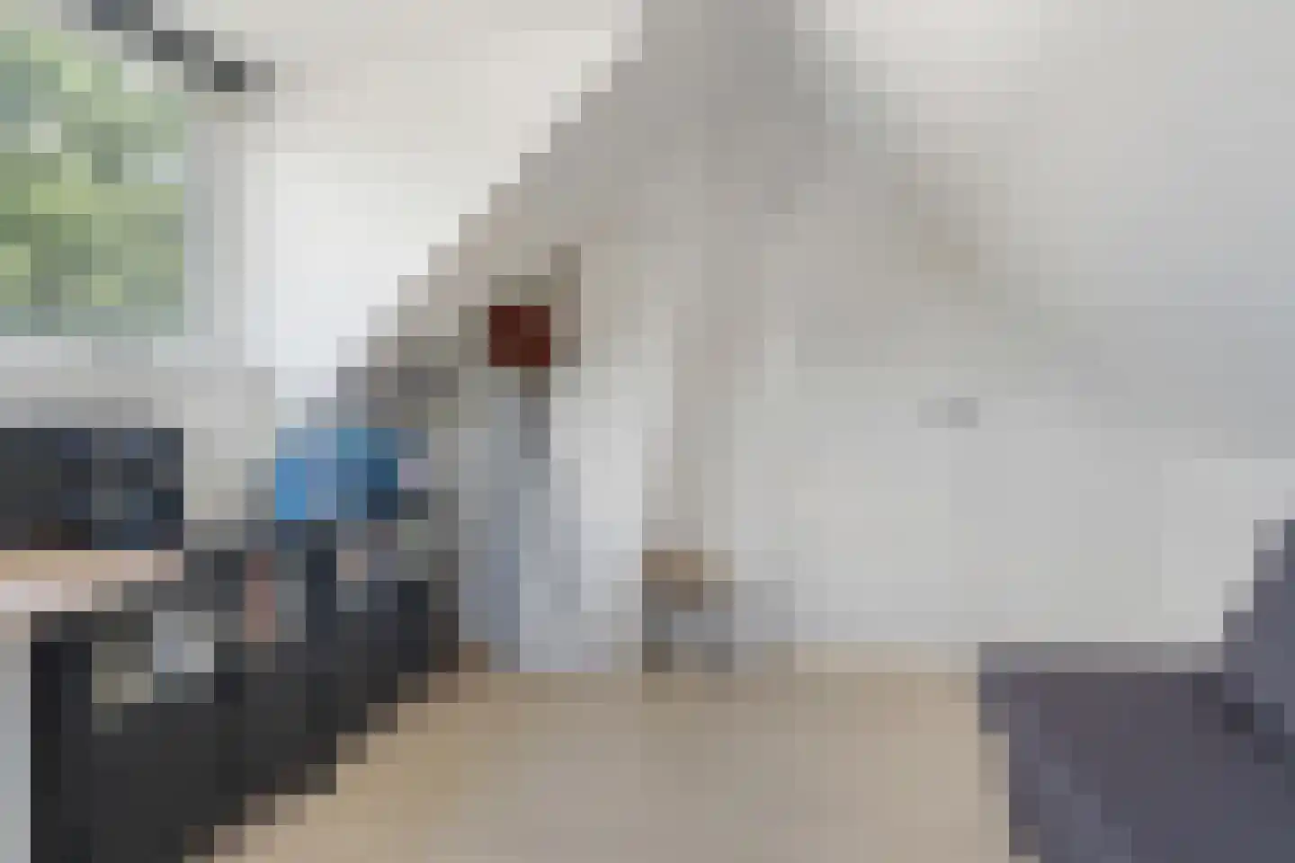 Eendenkooi 16 Heerenveen thumbnail 35