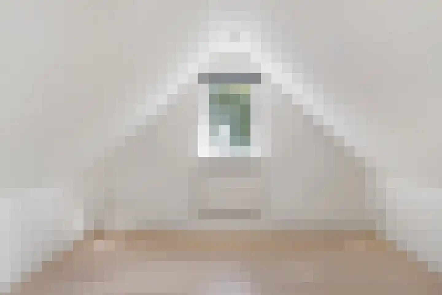 Eendenkooi 16 Heerenveen thumbnail 36