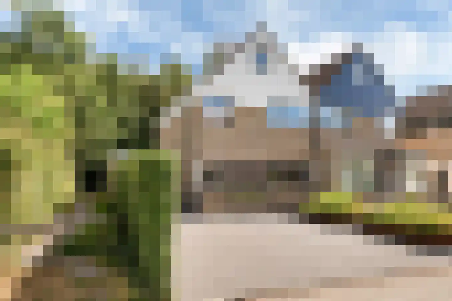 Eendenkooi 16 Heerenveen thumbnail 37