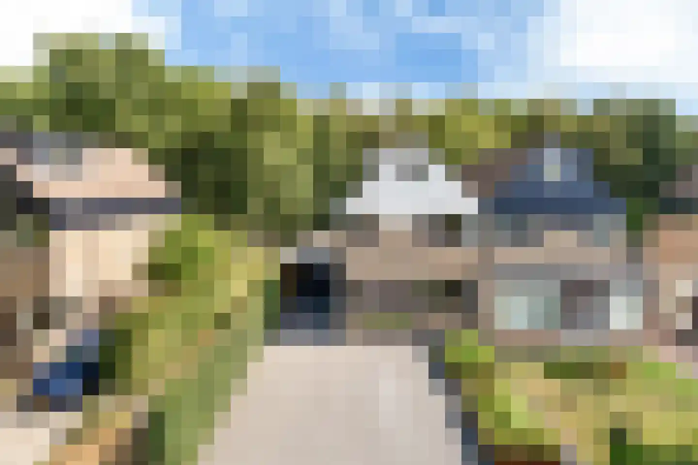 Eendenkooi 16 Heerenveen thumbnail 39