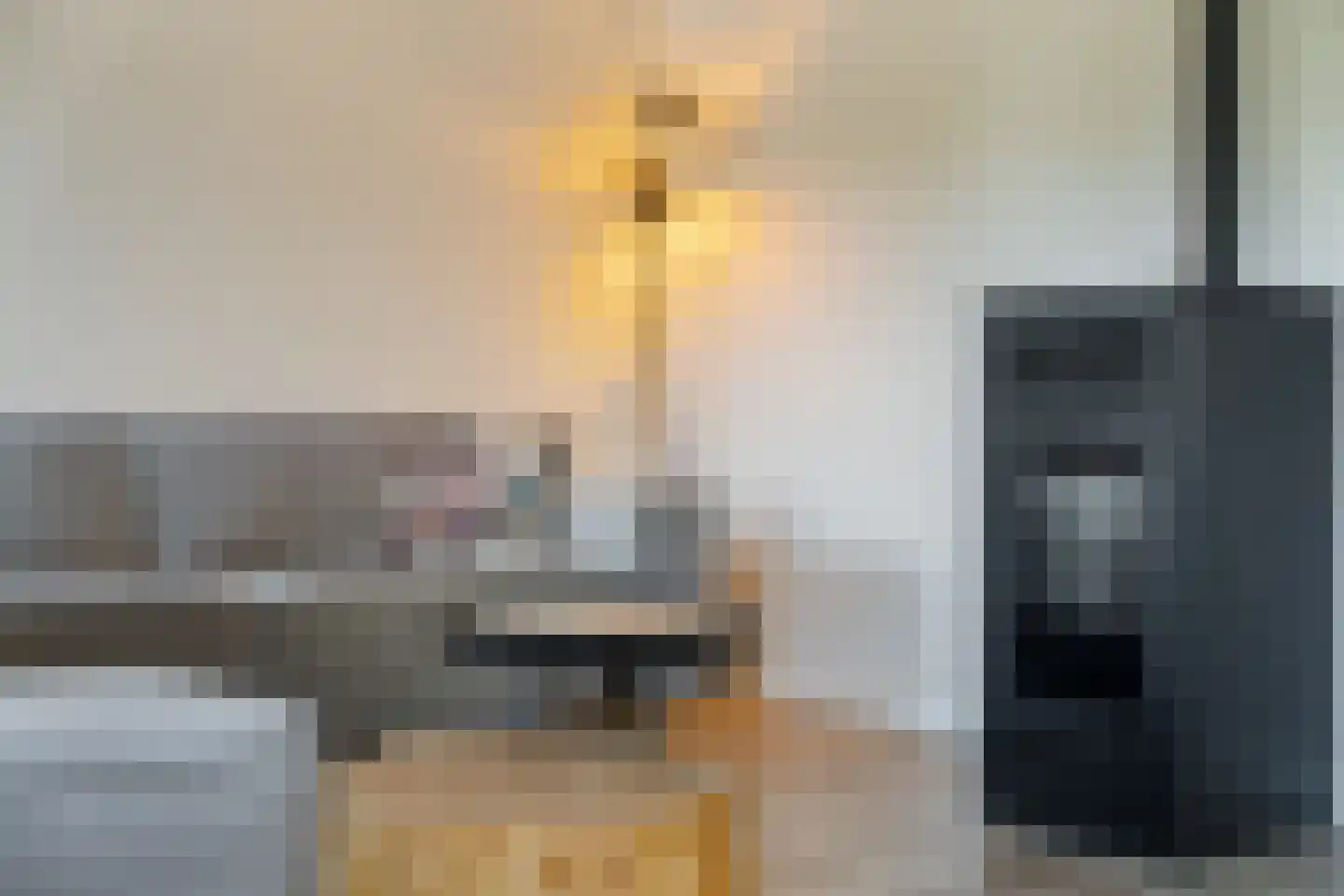 Eendenkooi 16 Heerenveen thumbnail 8