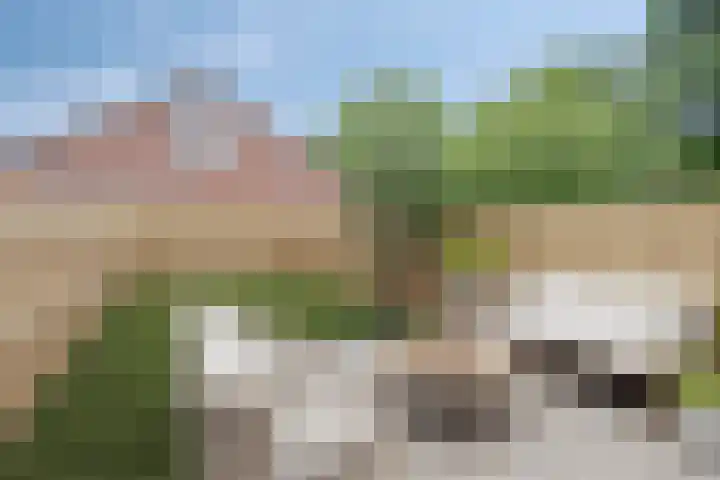 Eendenkooi 18 Delfzijl thumbnail 11