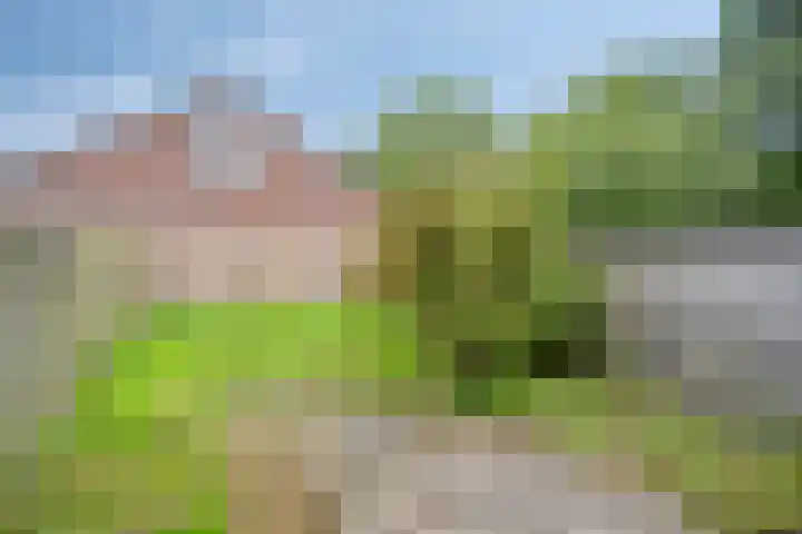 Eendenkooi 18 Delfzijl thumbnail 12