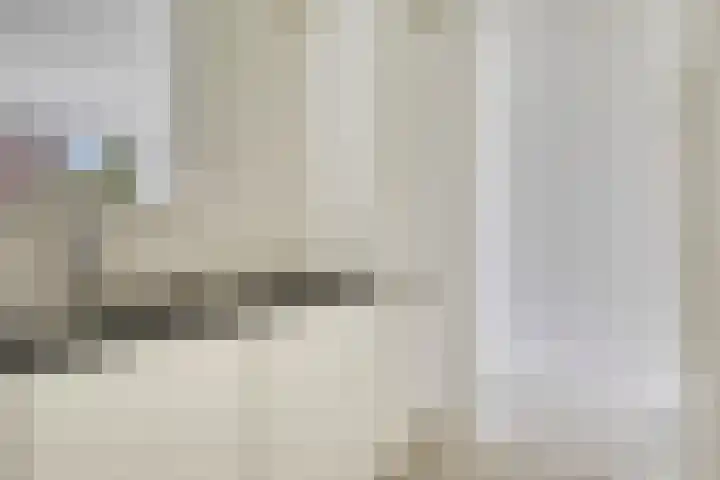 Eendenkooi 18 Delfzijl thumbnail 14