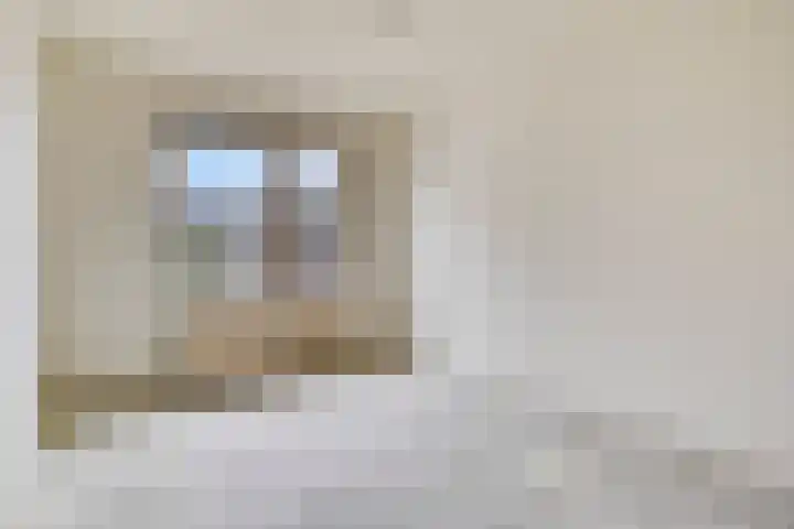 Eendenkooi 18 Delfzijl thumbnail 15